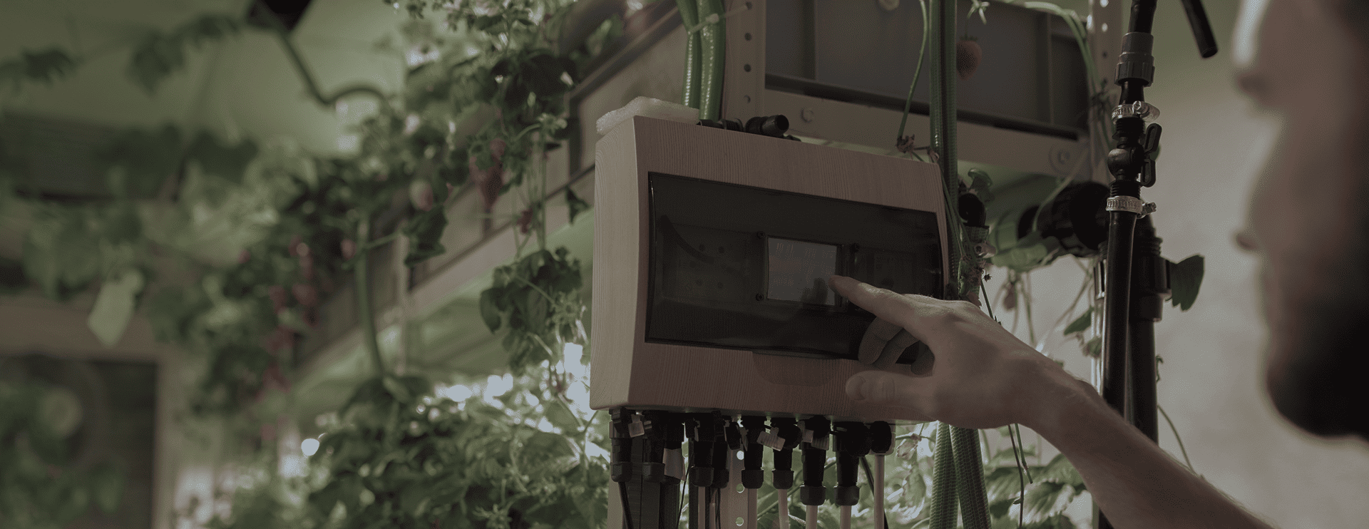Agrotech IoT Solutions by Dotcom